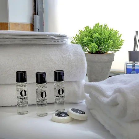 アパート Loft Capocci 37 - And